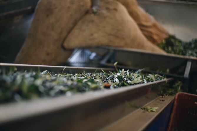 Kleanthi Olive Farm: Guided Tour with Local Delicacies Tasting - The shop experience: take home bottles without the pushy feeling