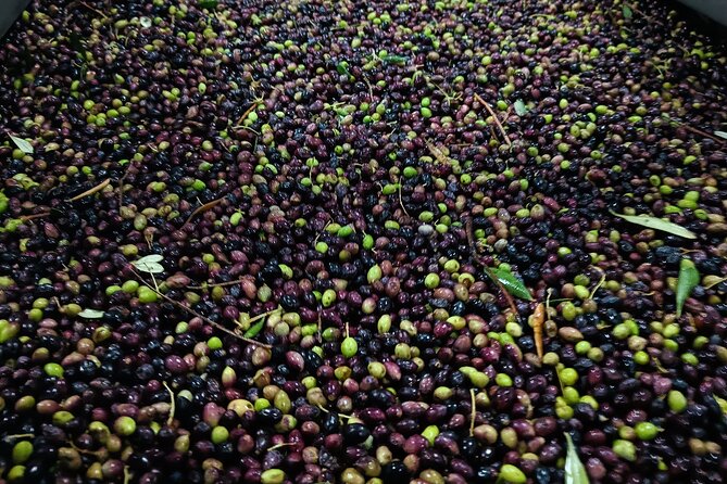 Kleanthi Olive Farm: Guided Tour with Local Delicacies Tasting - Practical tips to get the most from your visit