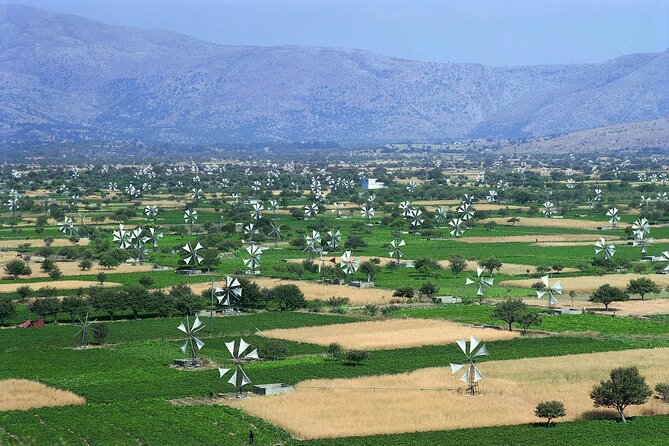 Knossos & lasithi plateau villages,Zeus's cave,&olive oil Mill - Omalia Olive Press: modern machines, old traditions, and a tasting