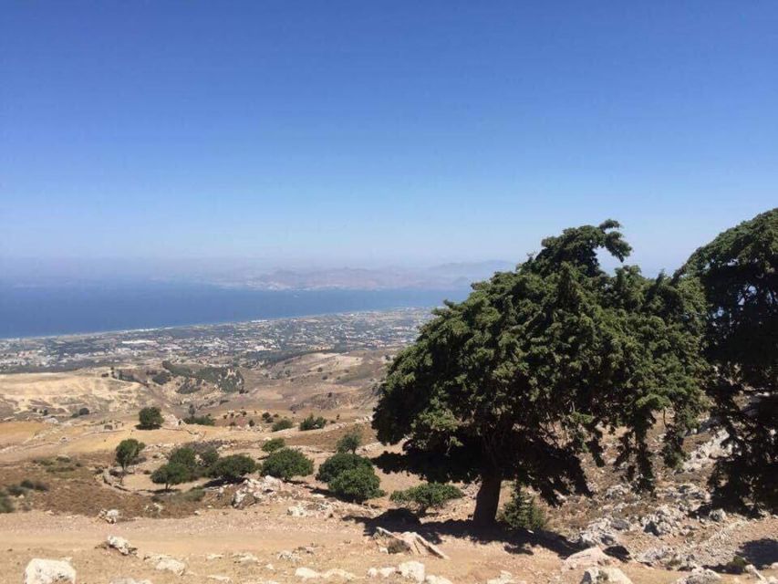 Kos: Full-Day Jeep Safari with Lunch - Key things to know before you go
