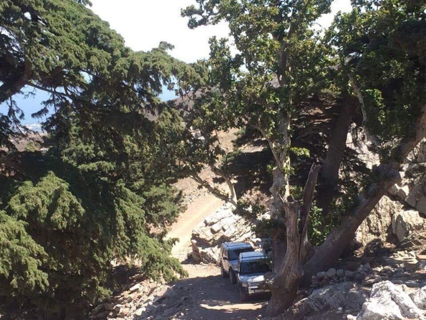 Kos: Full-Day Jeep Safari with Lunch - Salt Lake at the end: nature’s quiet finish