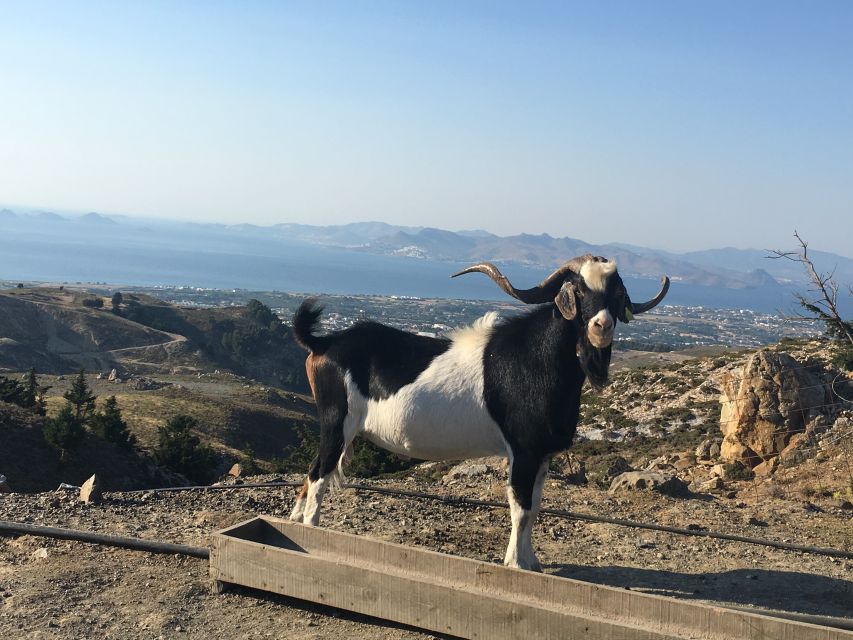 Kos: Full-Day Jeep Safari with Lunch - What makes this Kos jeep safari feel different