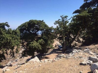 Kos: Full-Day Jeep Safari with Lunch - Pickup, timing, and how the day actually moves