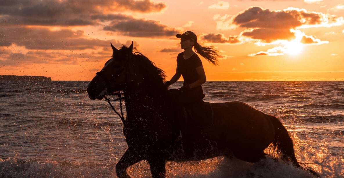 Kos: Horse Riding Experience on the Beach with Instructor - Why Horse Riding on Kos Beats a Standard Beach Day