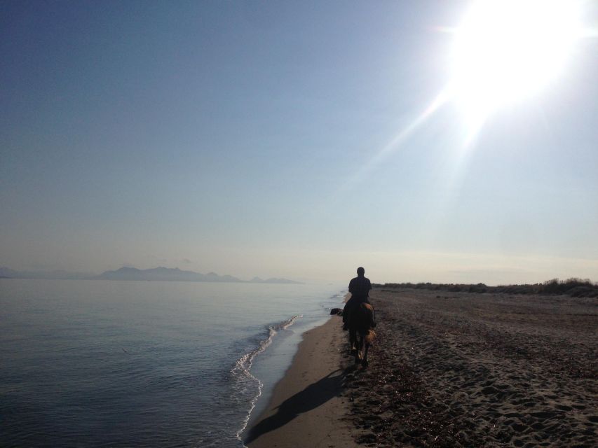 Kos: Horse Riding Experience on the Beach with Instructor - Back on Return Route: Finishing Through the Same Scenic Loop