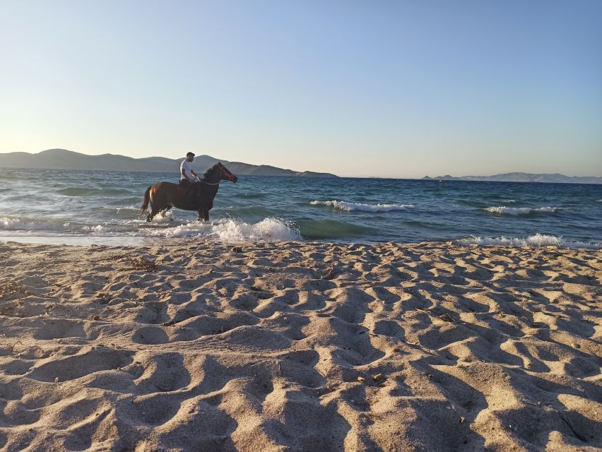 Kos: Horse Riding Experience on the Beach with Instructor - Price and Value: Is $88 Worth One Hour?