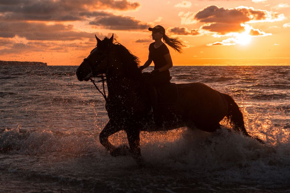 Kos: Horse Riding Experience on the Beach with Instructor - The Timing: How an Hour in Total Feels Longer on the Beach