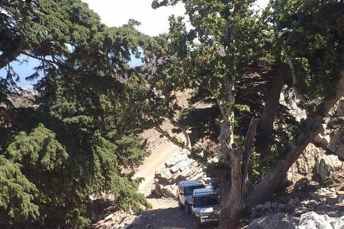 Kos Land Rover Safari - The Land Rover Safari Route: Remote Tracks and Mount Dikaios Views