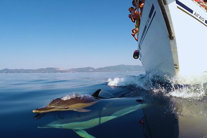 Kos: Small Group Full-Day Sailing with Meal, Drinks, & Swim - Price and value: is $170 worth it for 7 hours on the water?