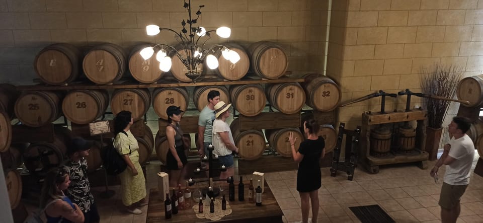 Kos: Wineries Tour w/ Wine Tastings & Transportation - Wine pairing and the snacks situation (plan your hunger)