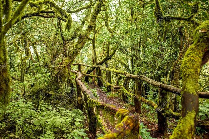 La Gomera Day Trip from Tenerife - Roque de Agando: A Quick Nature Stop With Big Story Energy