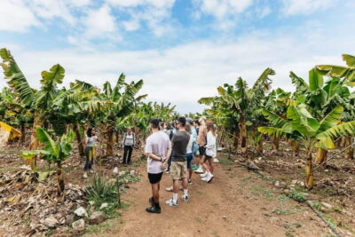 La Orotava: Eco Banana Plantation Tour with Banana Liquor - Finding the farm and starting your guided walk on El Rincón road