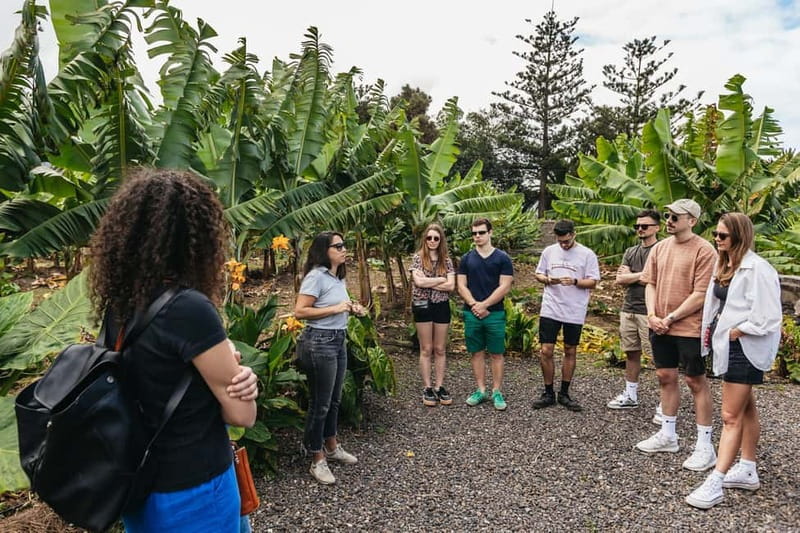 La Orotava: Eco Banana Plantation Tour with Banana Liquor - How the owners aim to avoid pesticides and fertilizers (and why biodiversity matters)