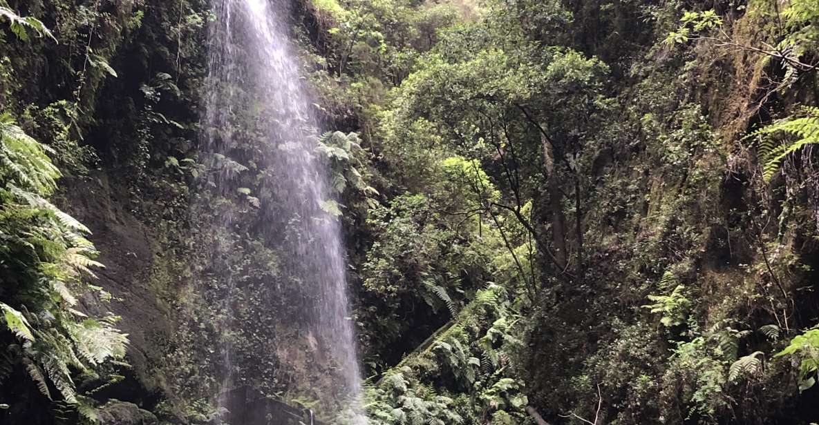 La Palma: North Island Bus Tour with Ron Aldea Distillery - The Route in Real Life: views, walks, and one weather wildcard