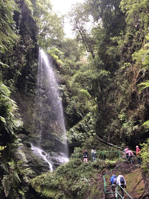 La Palma: North Island Bus Tour with Ron Aldea Distillery - Cubo de la Galga: walking in the laurel forest (and what to notice)