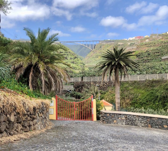 La Palma: North Island Bus Tour with Ron Aldea Distillery - Mirador de la Montaña and the Salto del Enamorado moment
