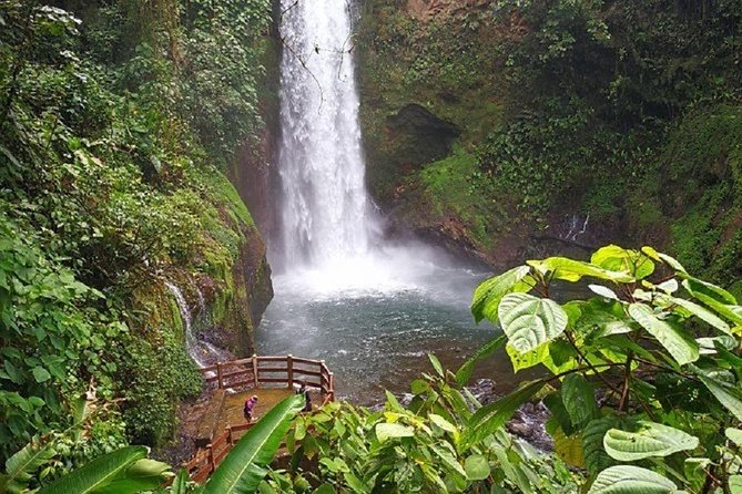La Paz Waterfalls - Lunch in the rainforest: a buffet break that’s part of the day