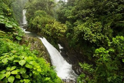 La Paz Waterfalls - The waterfall walk: steps, humidity, and three viewpoints