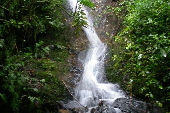 La Paz Waterfalls - Transportation reality: pickup timing and why the day can stretch