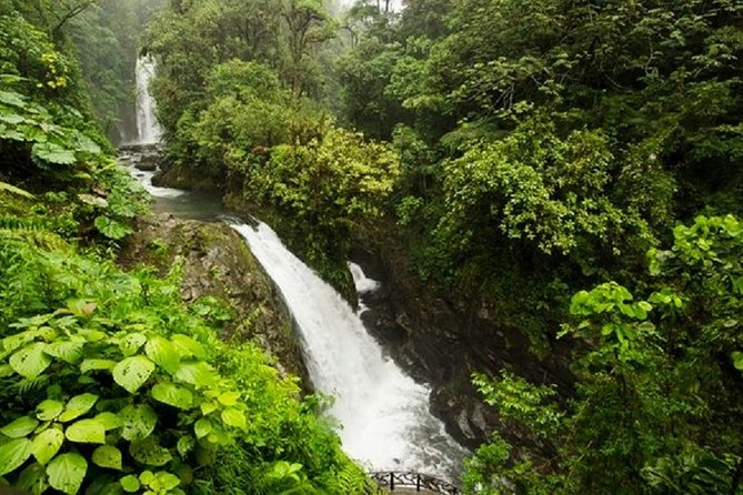 La Paz Waterfalls - The waterfall walk: steps, humidity, and three viewpoints