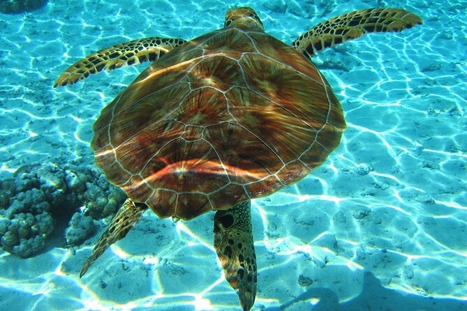 Laganas Zakynthos: Marathonissi, Keri Caves and Turtles Spotting - Key Highlights You’ll Actually Care About