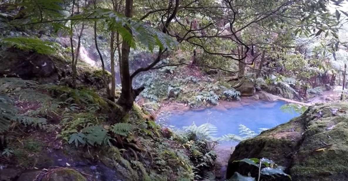 Lagoa do Fogo: Guided Volcano Geo Tour w/ Hotsprings Bathing - Key things that make this Lagoa do Fogo + hot springs tour worth your time