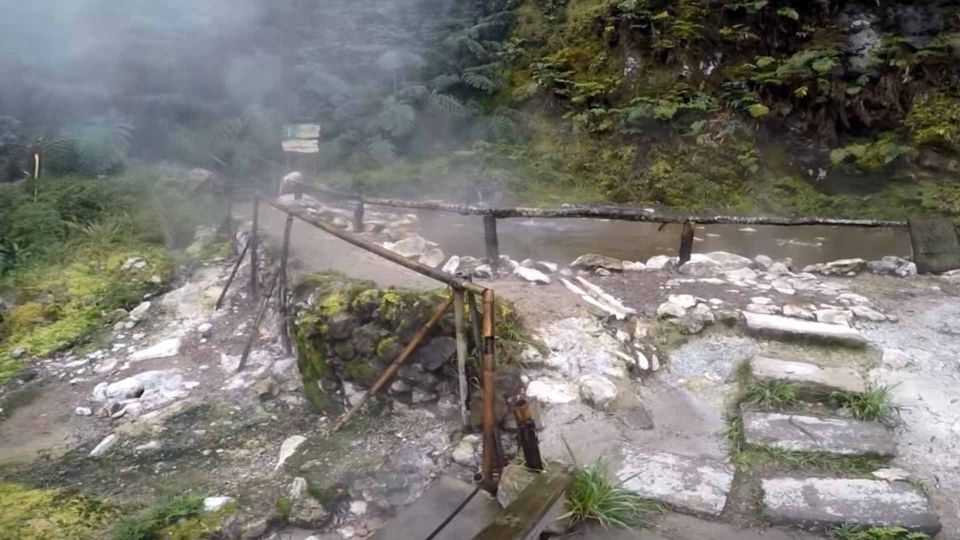 Lagoa do Fogo: Guided Volcano Geo Tour w/ Hotsprings Bathing - Group size, guide style, and why the naturalist touch changes everything