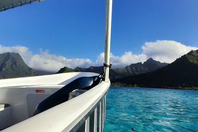 Lagoon Exploration and Snorkeling in Moorea - The wildlife route: dolphins, turtles, stingrays, and black tip sharks