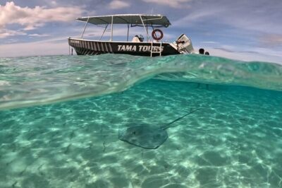 Lagoon Exploration and Snorkeling in Moorea - Captain Tama and the crew: spotting skills + a fun, clear vibe