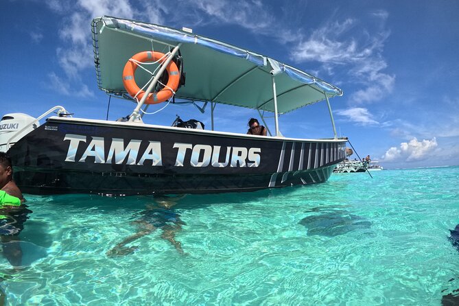 Lagoon Exploration and Snorkeling in Moorea - Reef respect: picking up trash and watching without harming