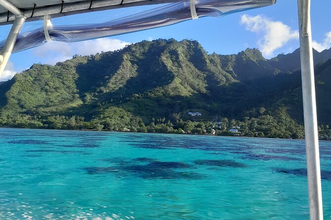 Lagoon Exploration and Snorkeling in Moorea - Price and value: is $145.76 worth 4 hours with wildlife?