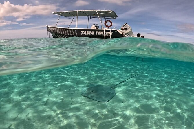 Lagoon Exploration and Snorkeling in Moorea - Captain Tama and the crew: spotting skills + a fun, clear vibe