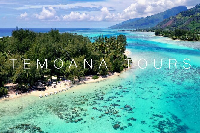 Lagoon Tour + lunch with your feet in the water on a Motu - Where the wildlife shows up: turtles, stingrays, sharks (and sometimes more)