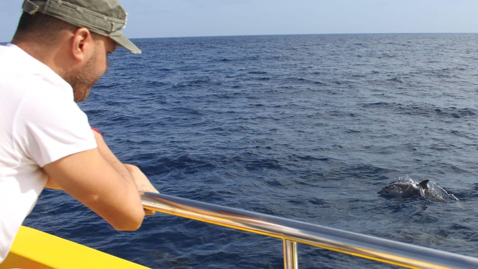 Lanzarote: 2.5-Hour Sunset and Dolphins Cruise - Quick hits before you go