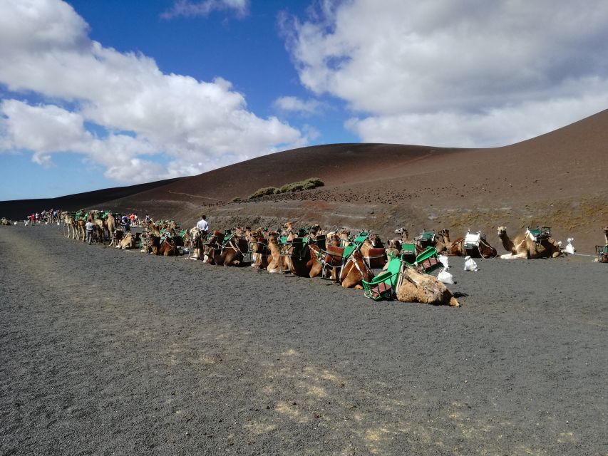 Lanzarote: 5-Hour Timanfaya National Park Southern Tour - Yaiza camel ride option: fun, but clearly optional