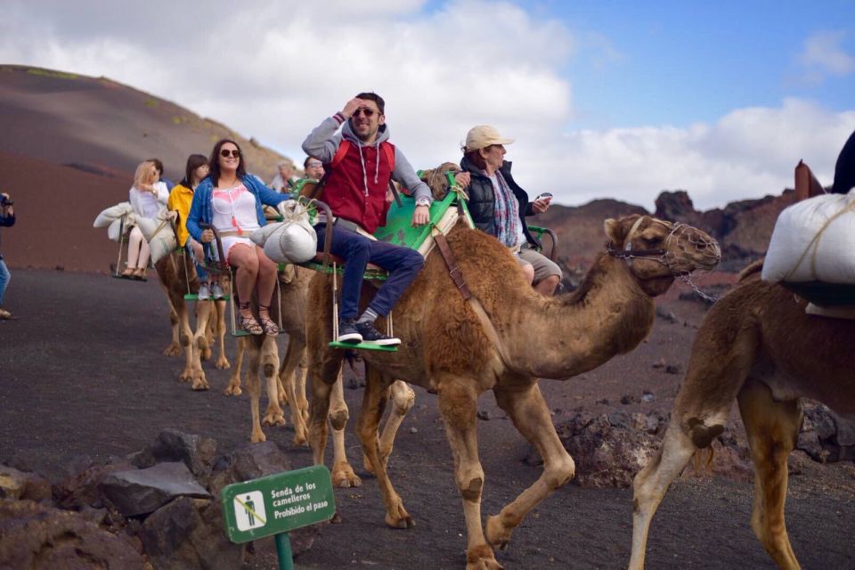 Lanzarote: 5-Hour Timanfaya National Park Southern Tour - Should you book this Timanfaya Southern Tour?