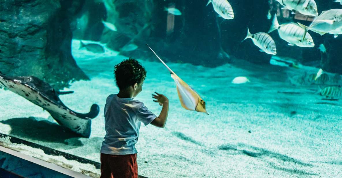 Lanzarote: Aquarium Entry Ticket - Lanzarote Aquarium Entry Ticket: what makes it worth your time