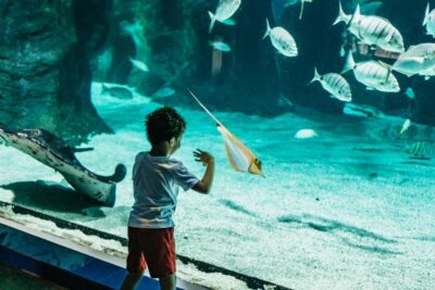 Lanzarote: Aquarium Entry Ticket - How the aquarium is laid out: hitting the main zones fast