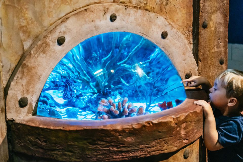 Lanzarote: Aquarium Entry Ticket - Turtle Rehabilitation Center: entertainment with a purpose