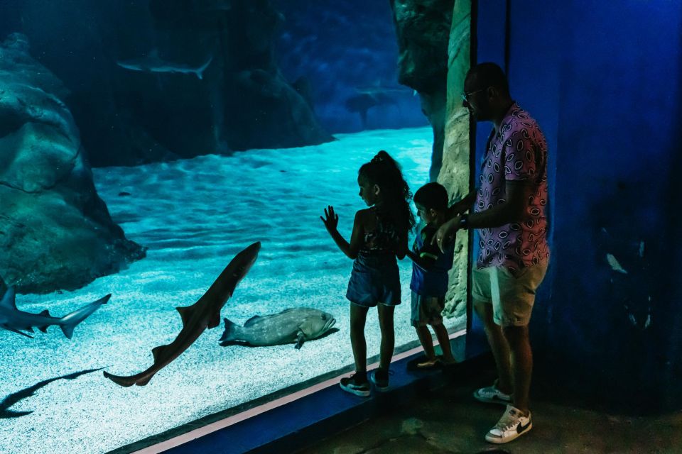 Lanzarote: Aquarium Entry Ticket - Canary Islands, tropical, and freshwater: what you can spot