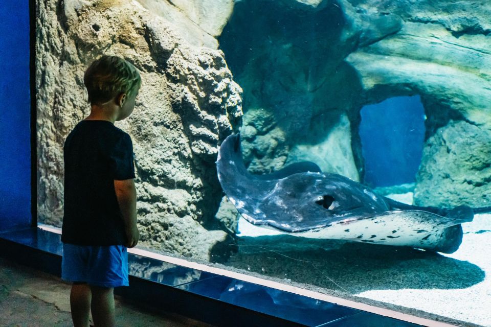 Lanzarote: Aquarium Entry Ticket - Price and value: is $18 a good deal?