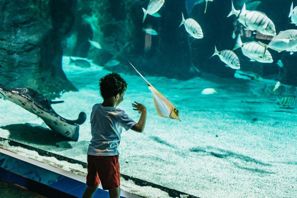 Lanzarote: Aquarium Entry Ticket - How the aquarium is laid out: hitting the main zones fast