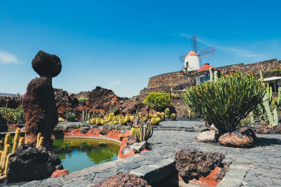Lanzarote: César Manrique Full-Day Tour - Jameos del Agua: cave design, sea-connected calm, and white-blind crabs