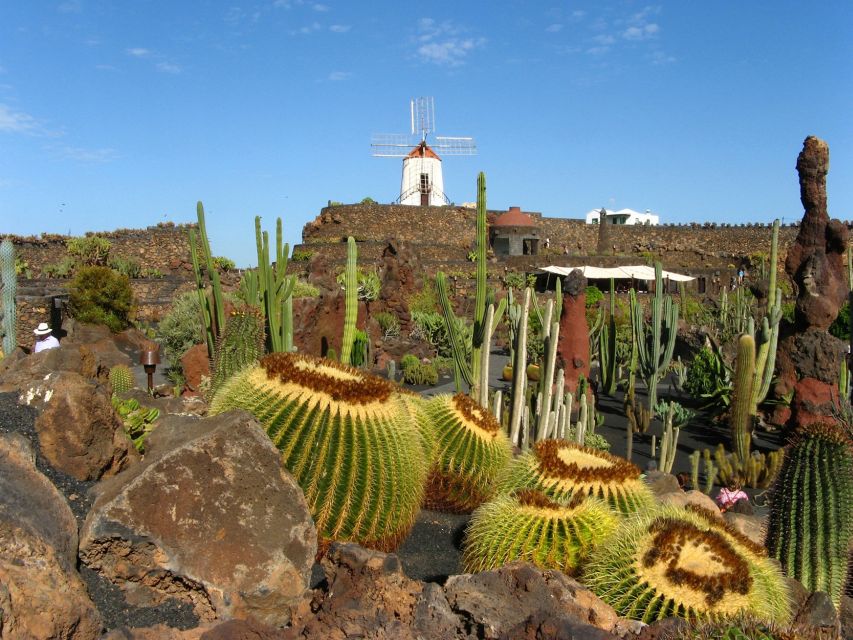 Lanzarote Coast to Coast Tour - Should you book this Lanzarote Coast to Coast Tour?