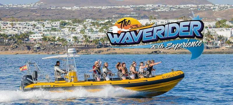 Lanzarote: Dolphin Watching by speedboat - Wildlife Spotting in the Canary Islands: What You Can Expect to See