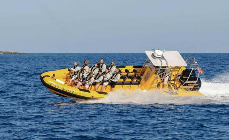 Lanzarote: Dolphin Watching by speedboat - Timing and Slots: Morning vs Evening Energy