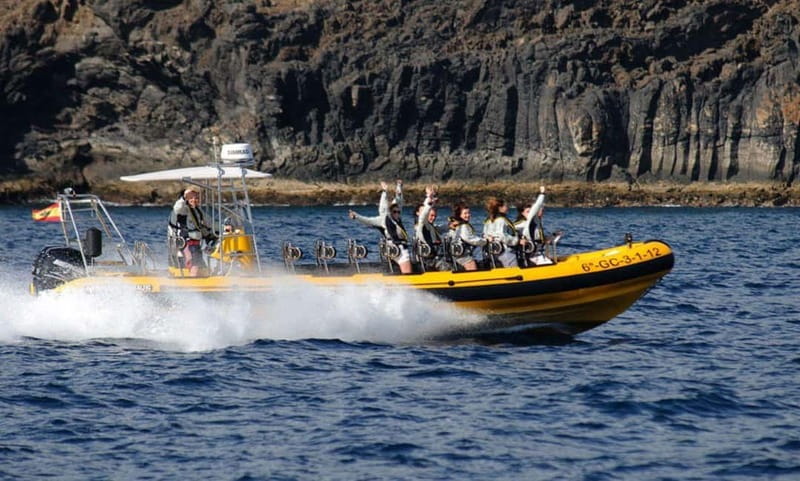 Lanzarote: Dolphin Watching by speedboat - Who This Tour Fits Best (and Who Should Skip It)