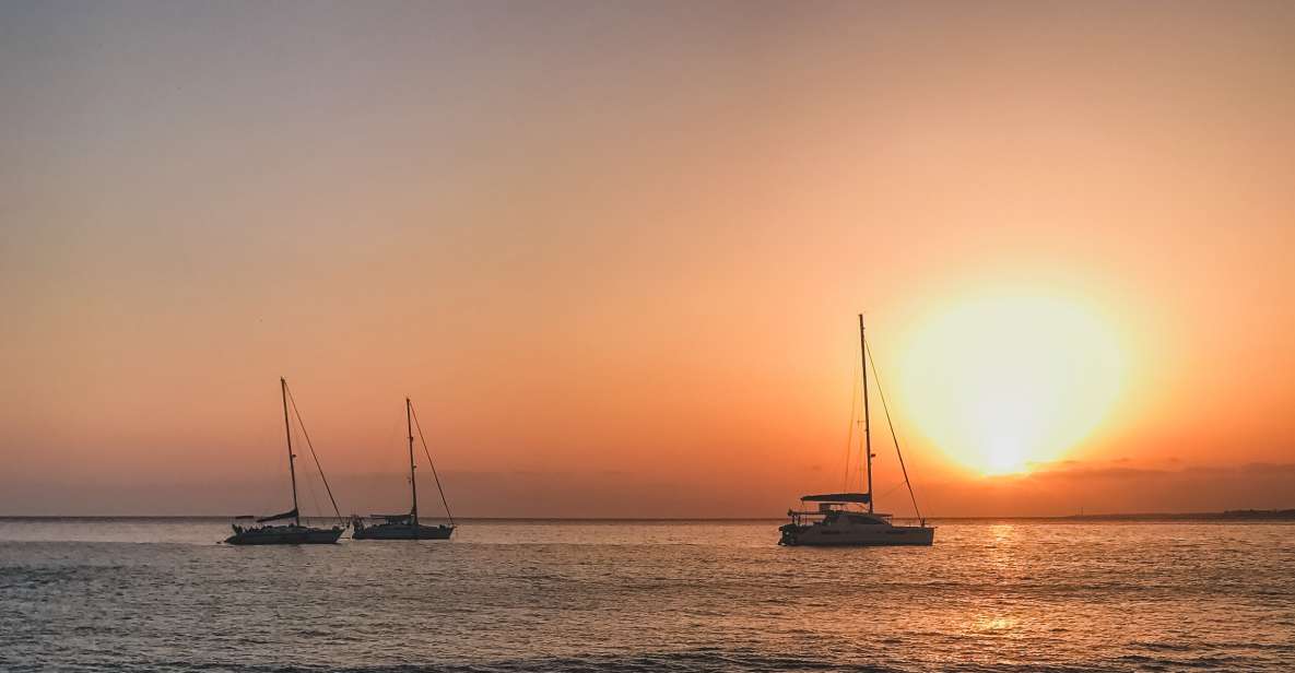 Lanzarote: Dolphin-Watching Sunset Cruise with Transfers - Boarding the catamaran: what the stable ride feels like