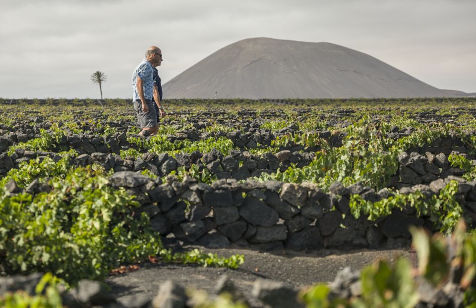 Lanzarote: El Grifo Wine Cellar Tour with Tasting - Your Guide: The Human Part That Makes the Learning Stick