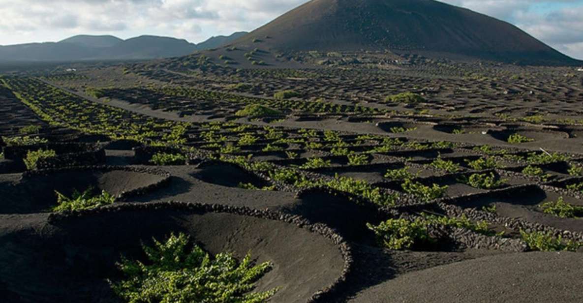 Lanzarote: Full Day Bus Tour with Scenic Views - Timanfaya National Park: Geothermal Theater on Volcanic Ground